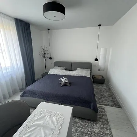 New Modern Apartment Uschhorod